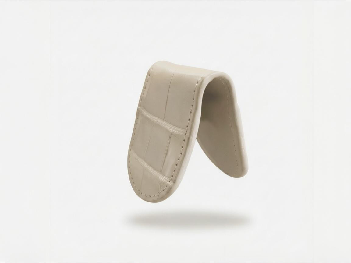 Money Clip