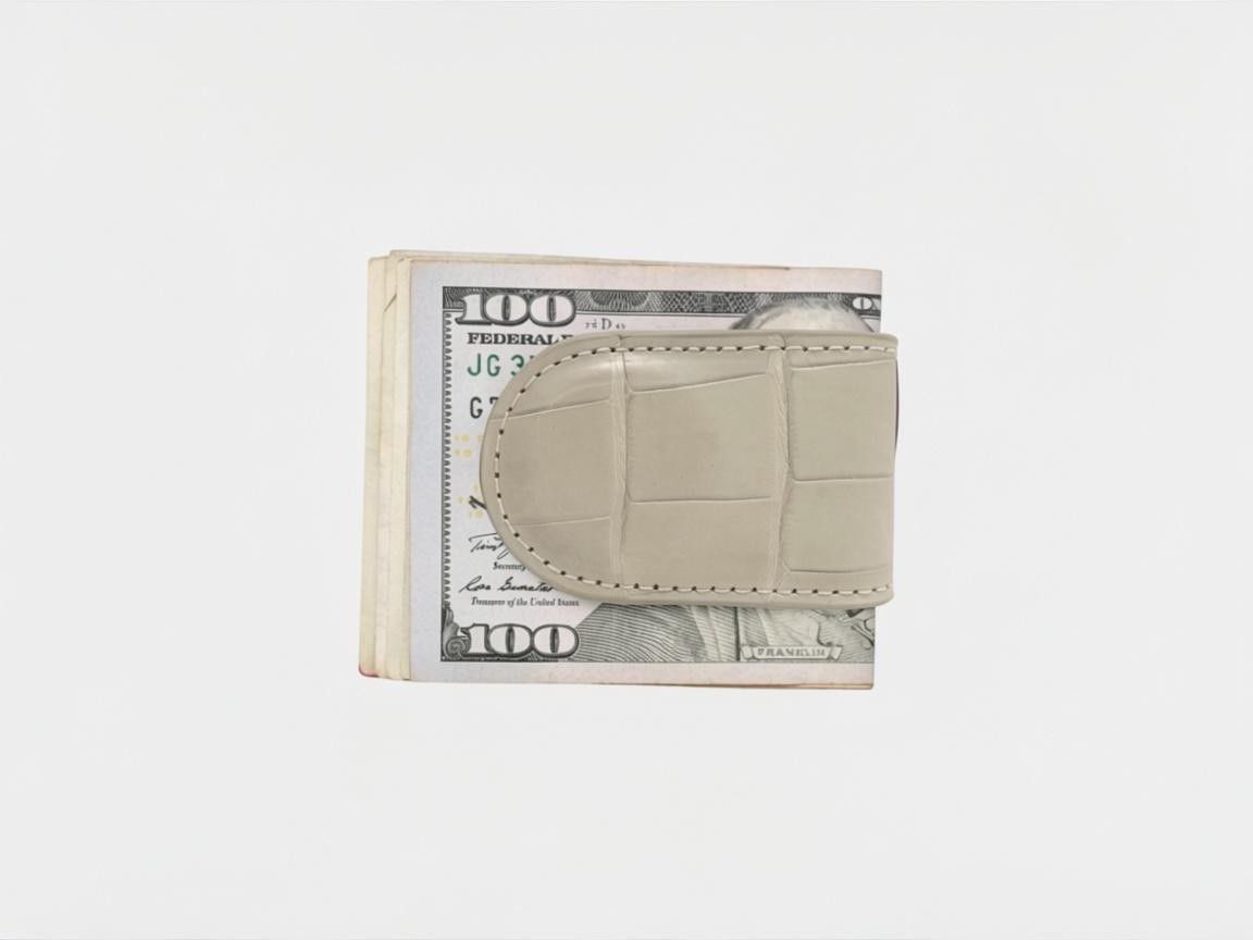 Money Clip