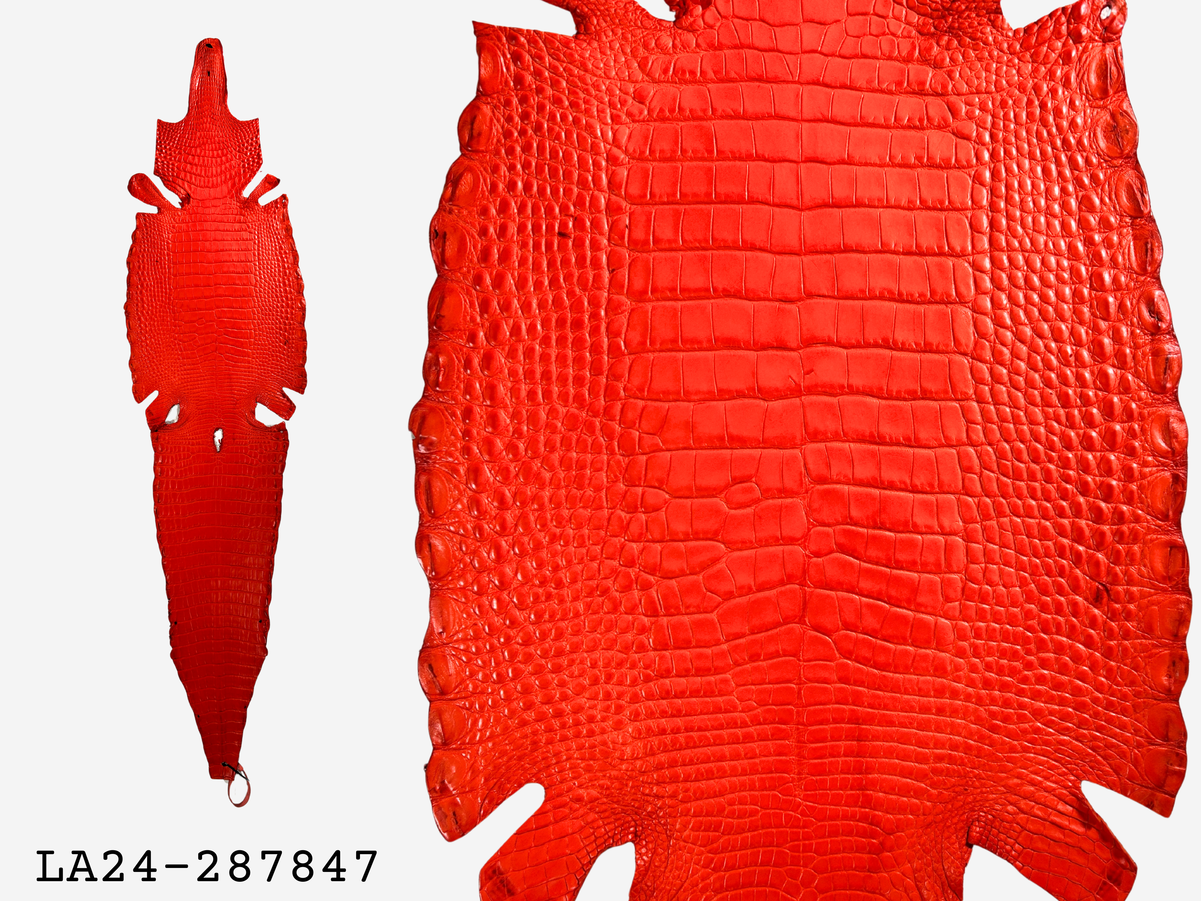 Alligator Leather Hide - Orange