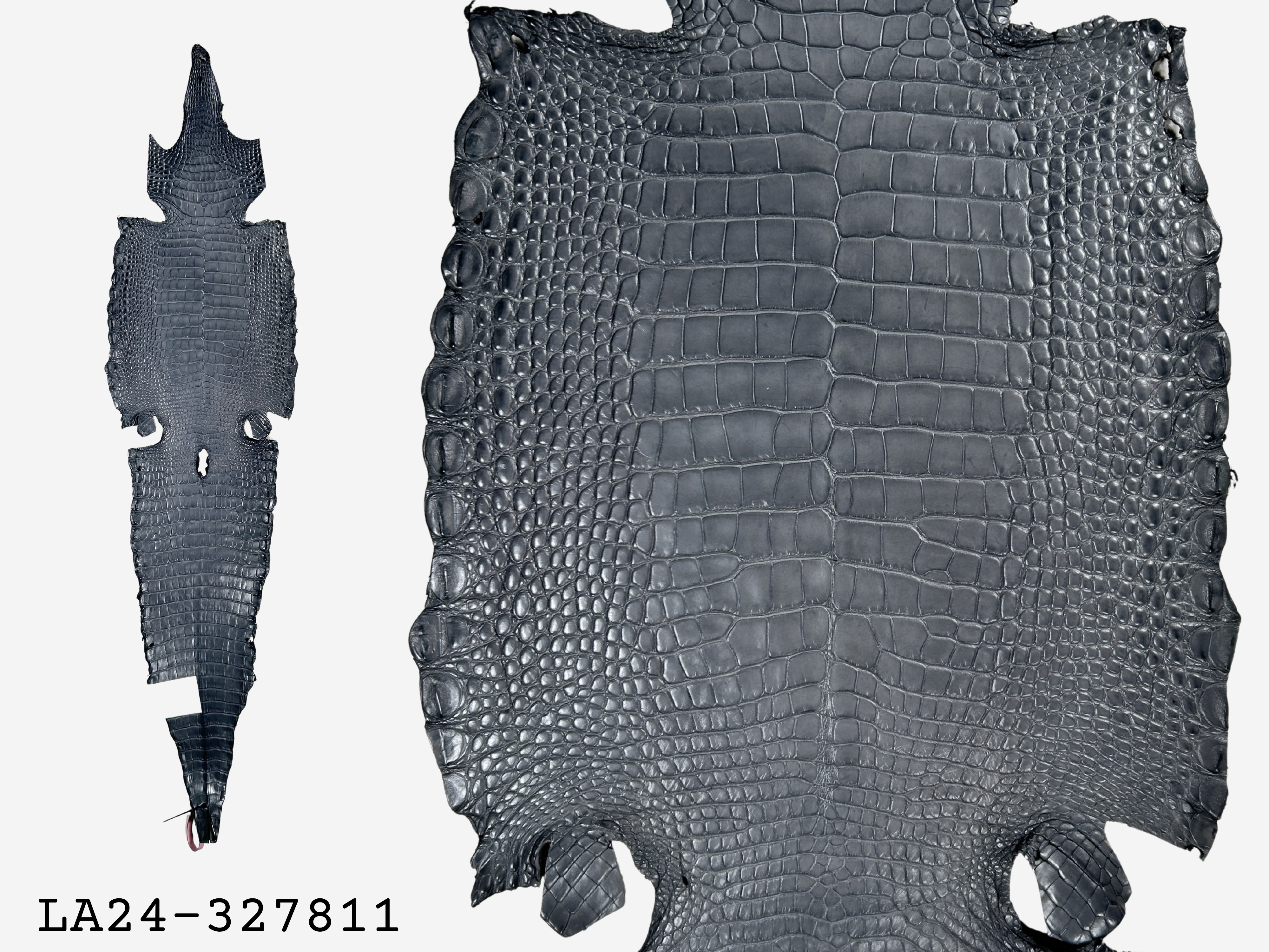 Alligator Leather Hide - Grey