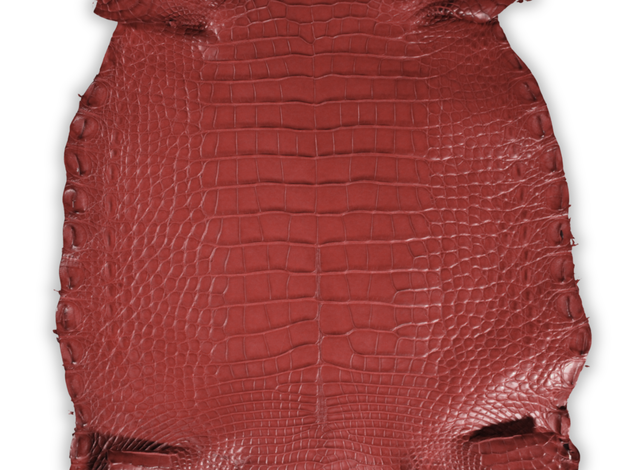 Alligator Leather Hide - Red