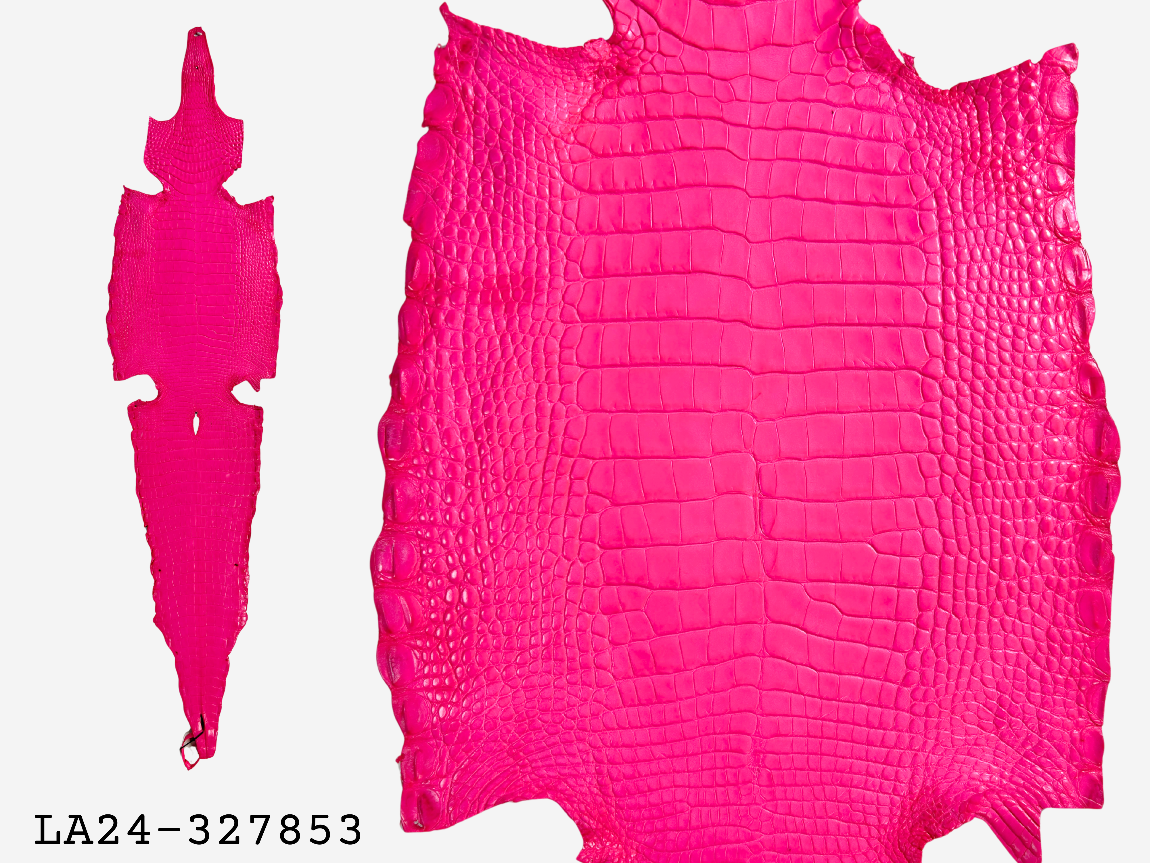 Alligator Leather Hide - Pink