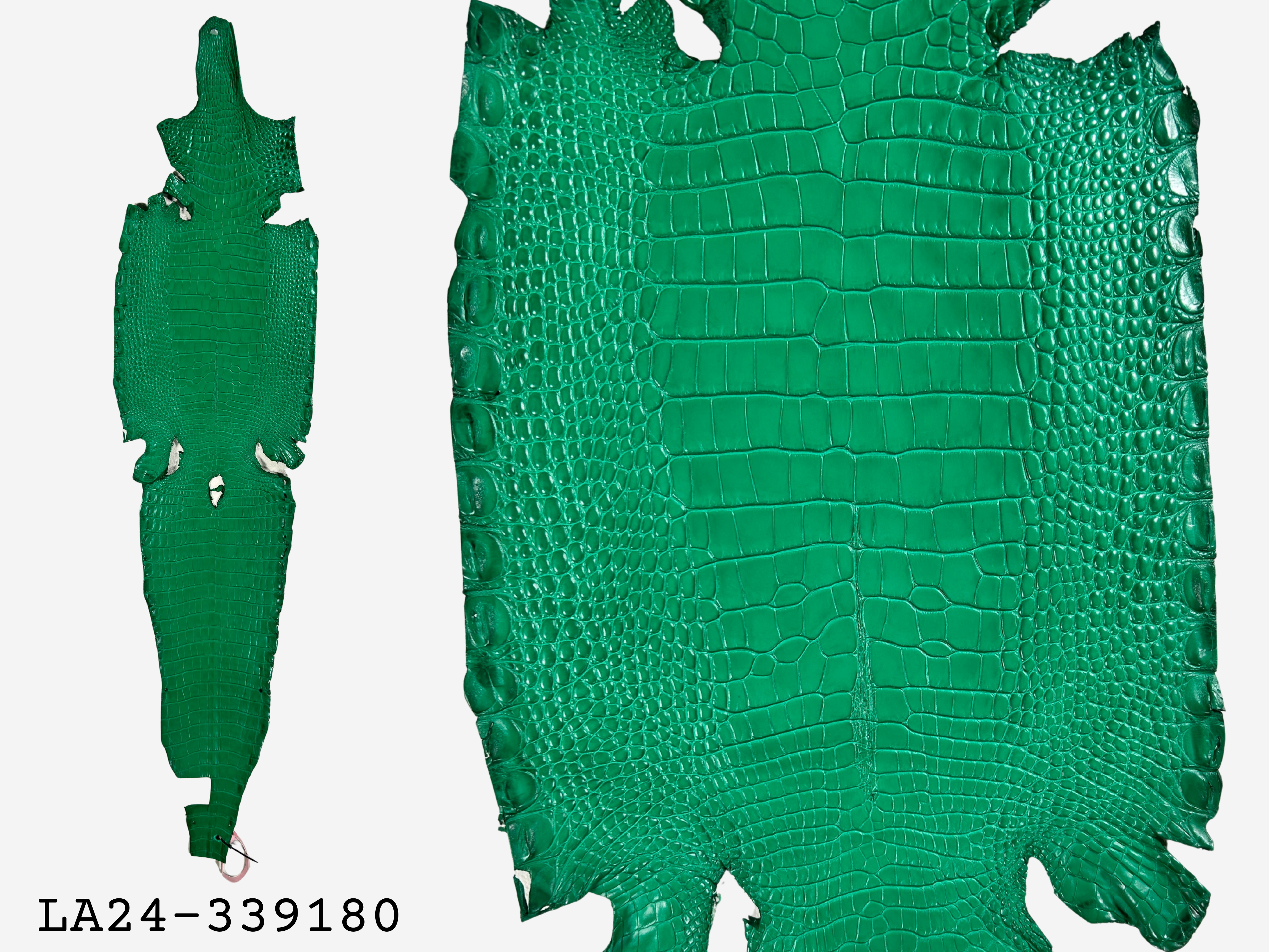 Alligator Leather Hide - Green