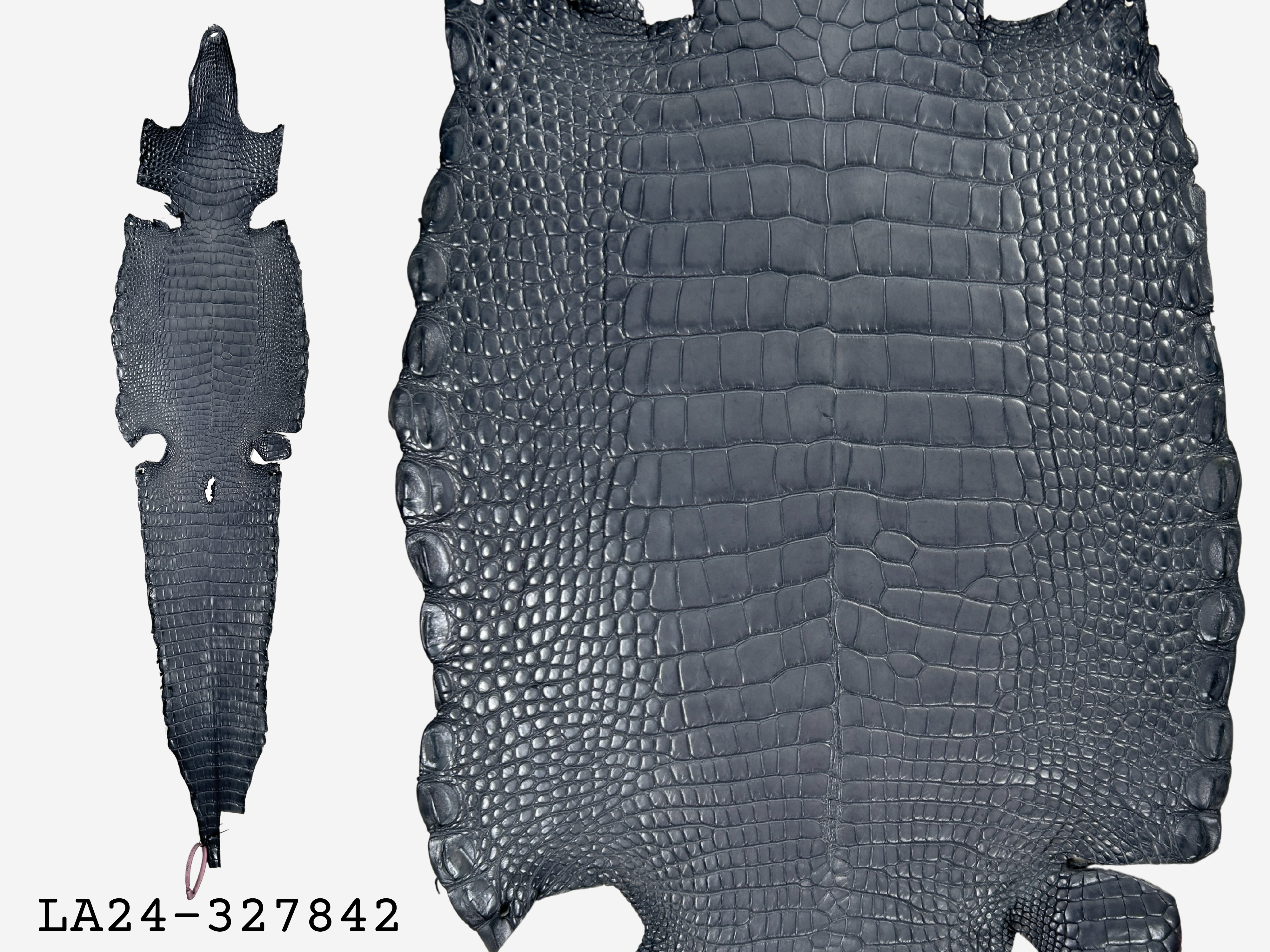 Alligator Leather Hide - Grey