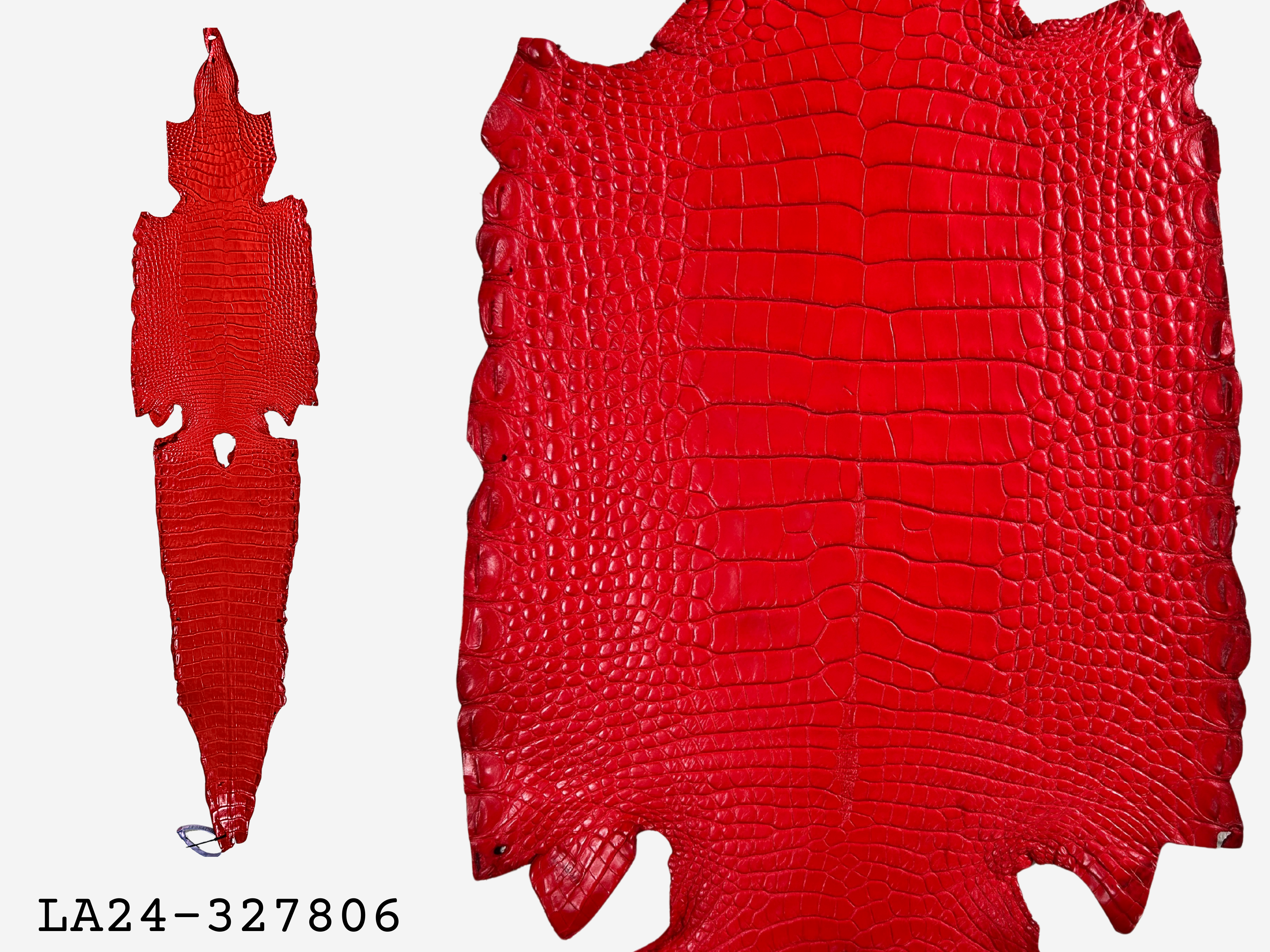 Alligator Leather Hide - Red