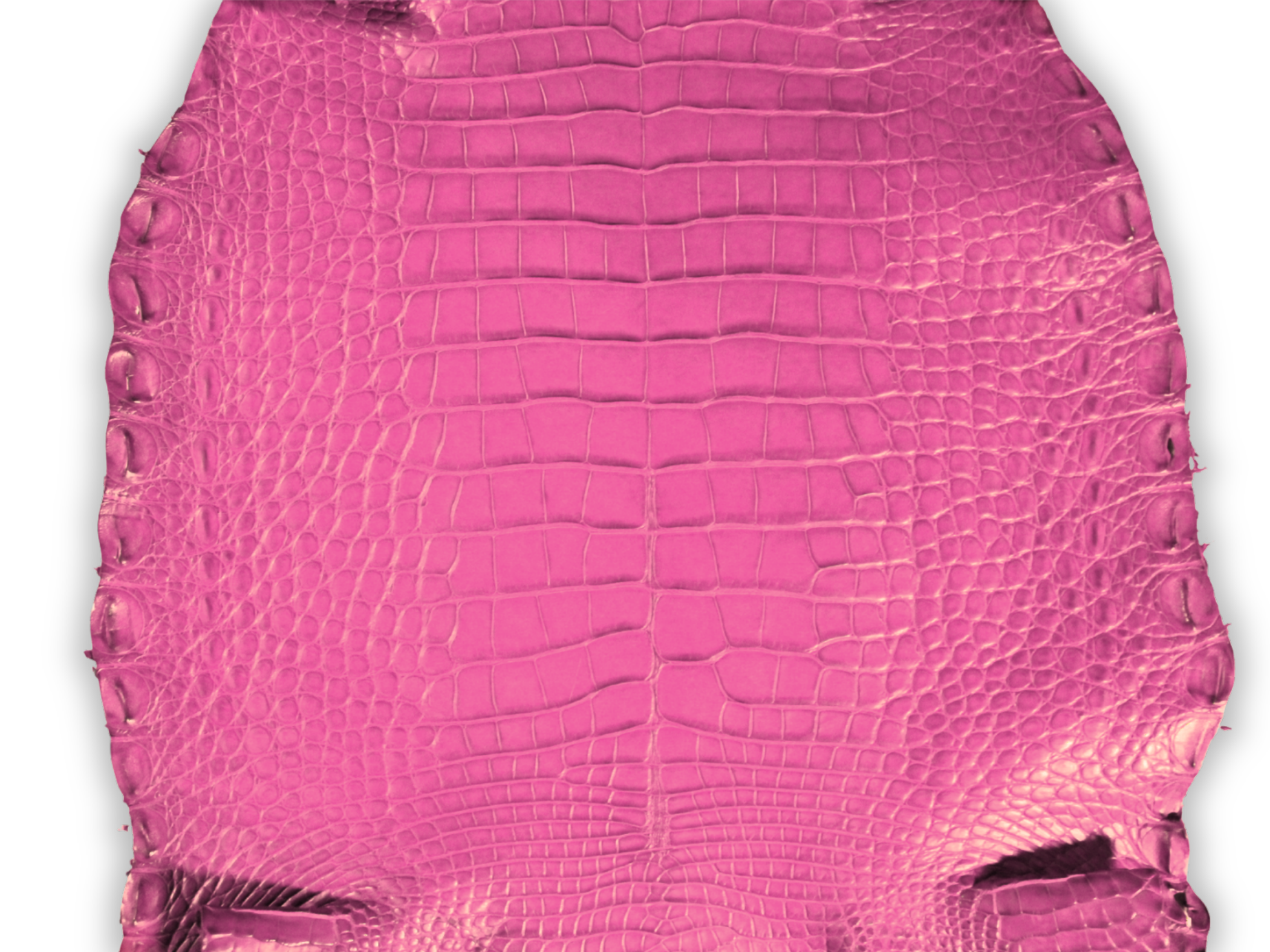 Alligator Leather Hide - Pink