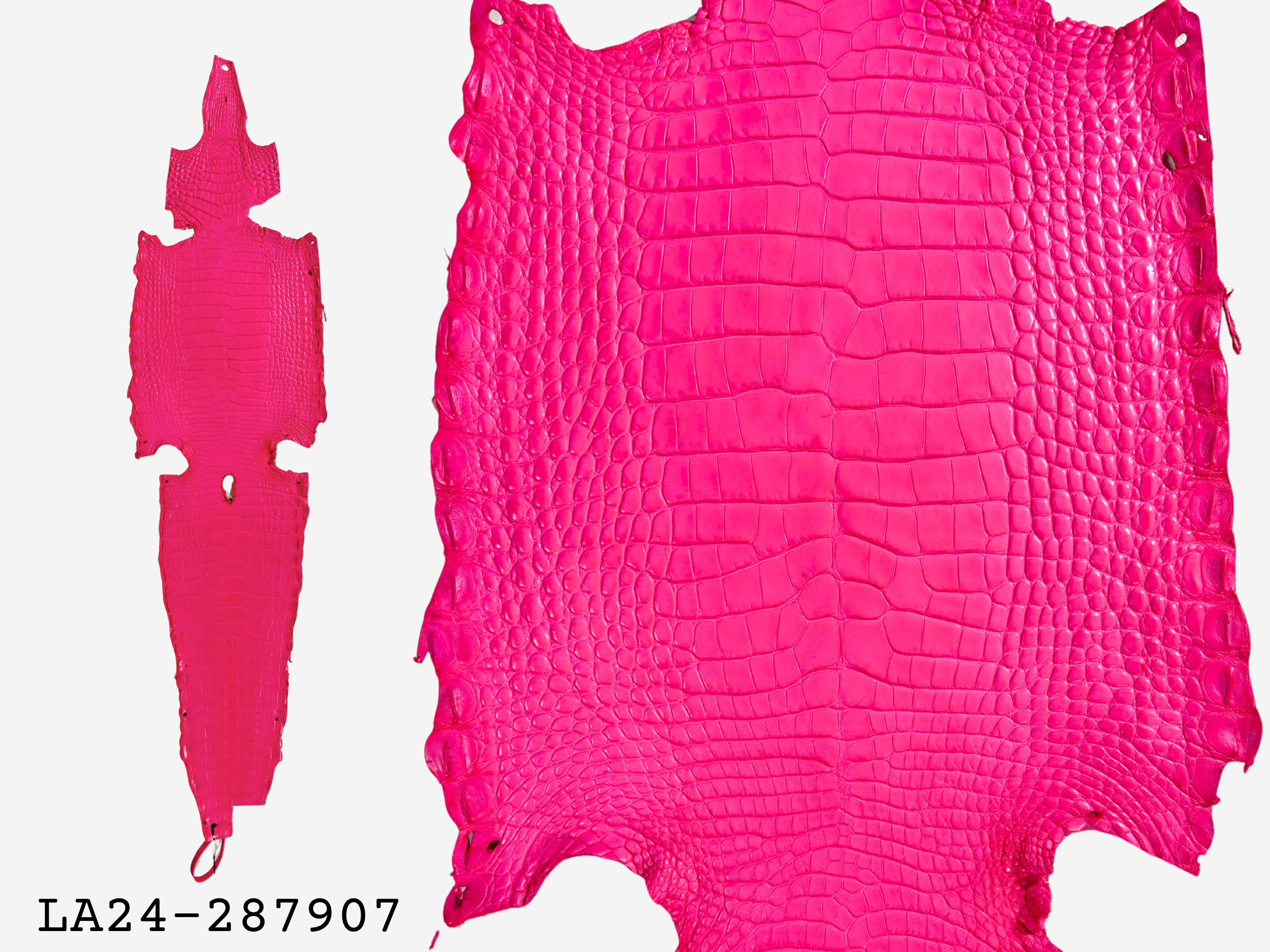 Alligator Leather Hide - Pink
