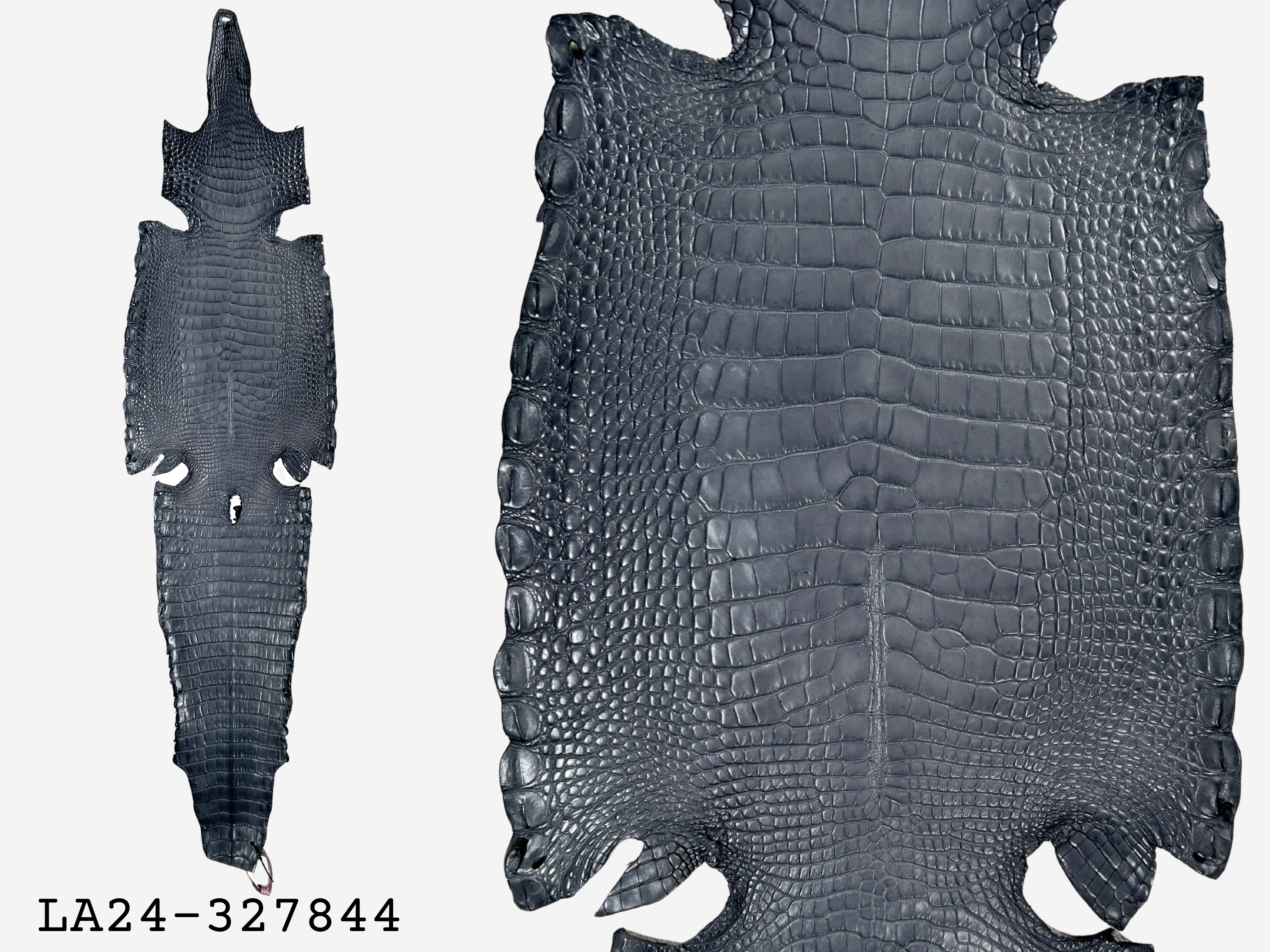 Alligator Leather Hide - Grey