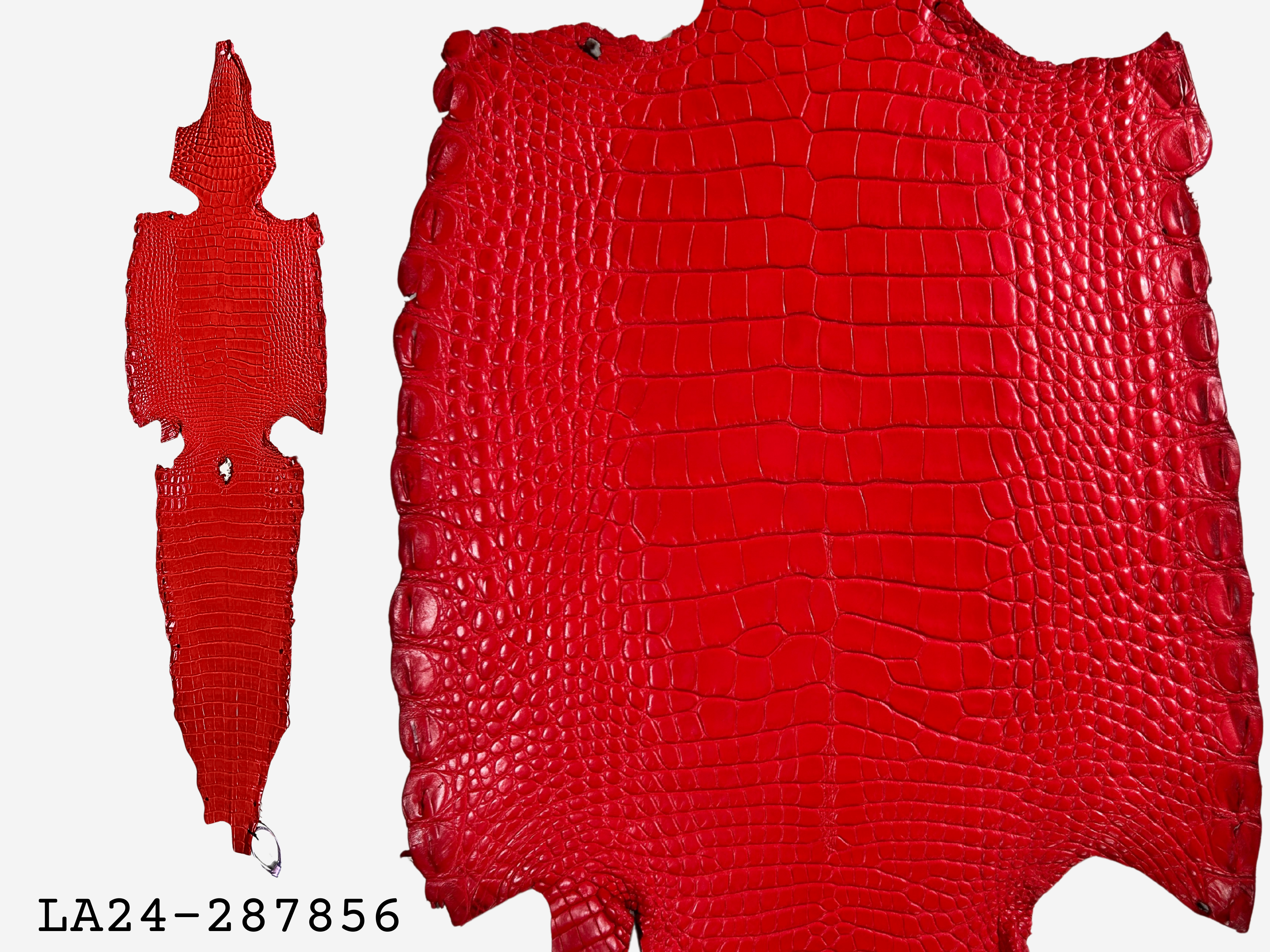 Alligator Leather Hide - Red