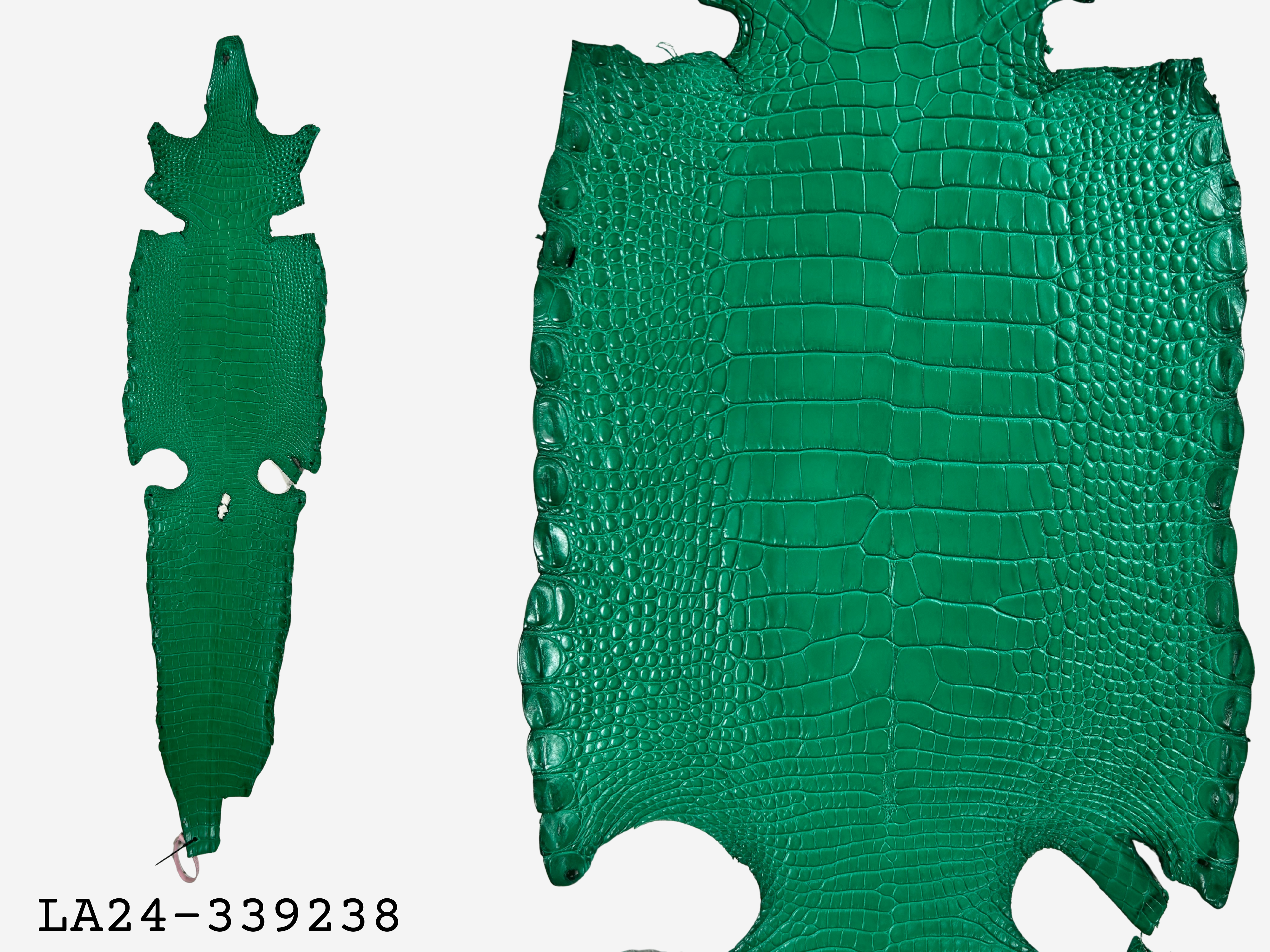 Alligator Leather Hide - Green