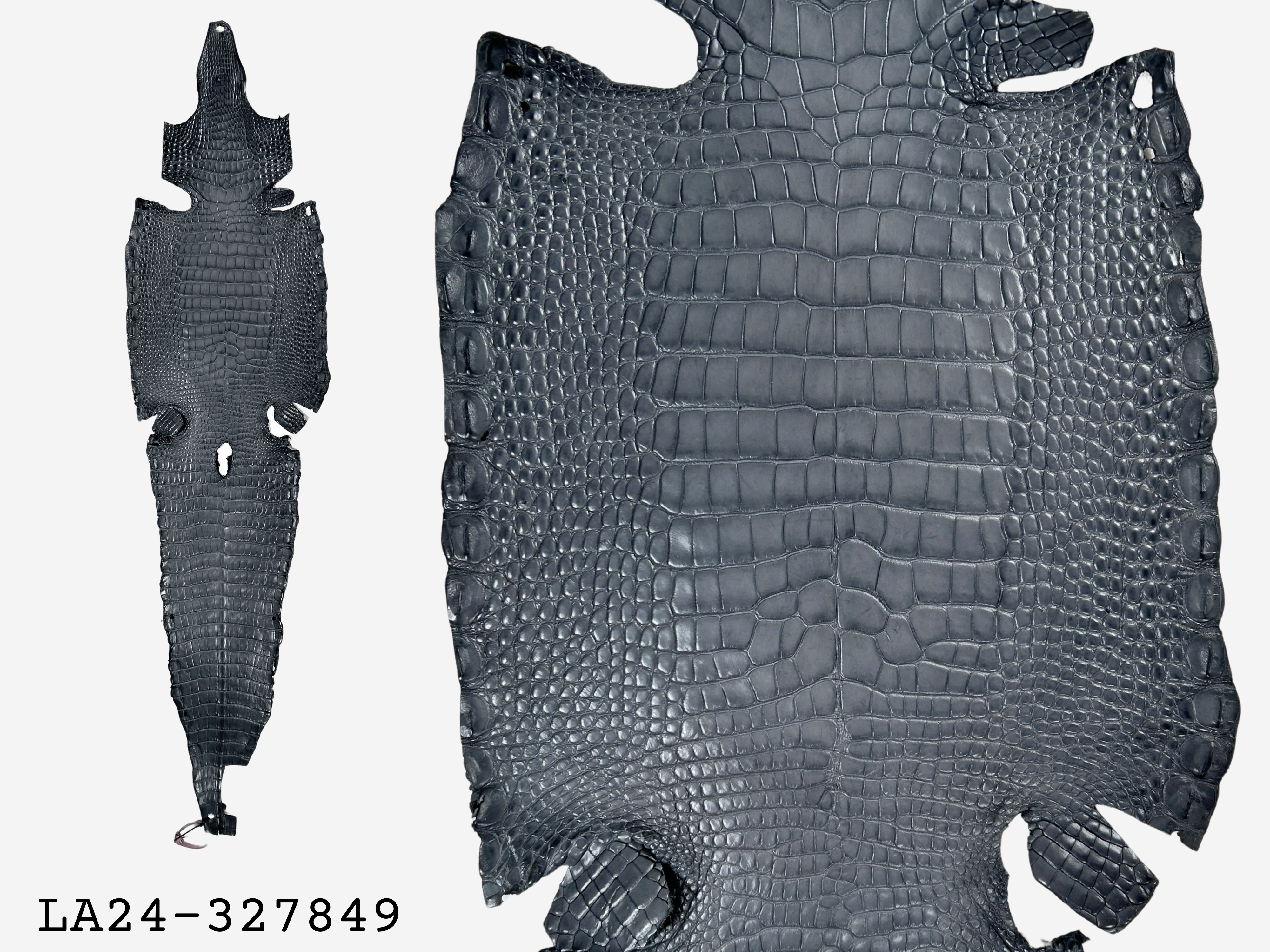 Alligator Leather Hide - Grey