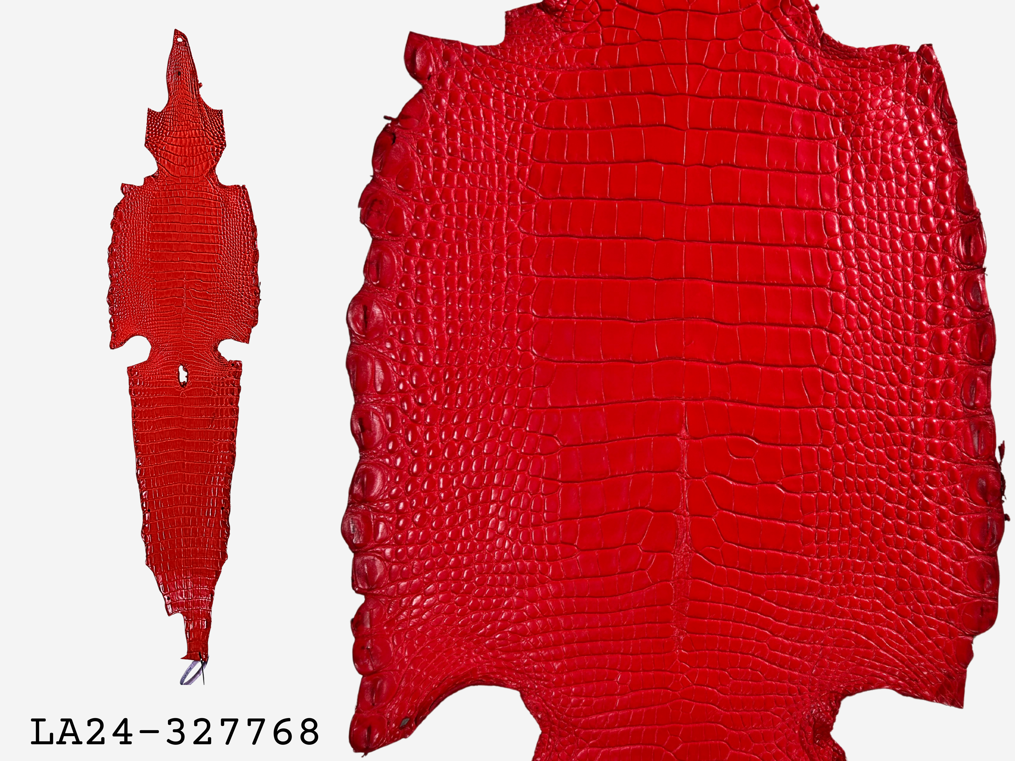 Alligator Leather Hide - Red