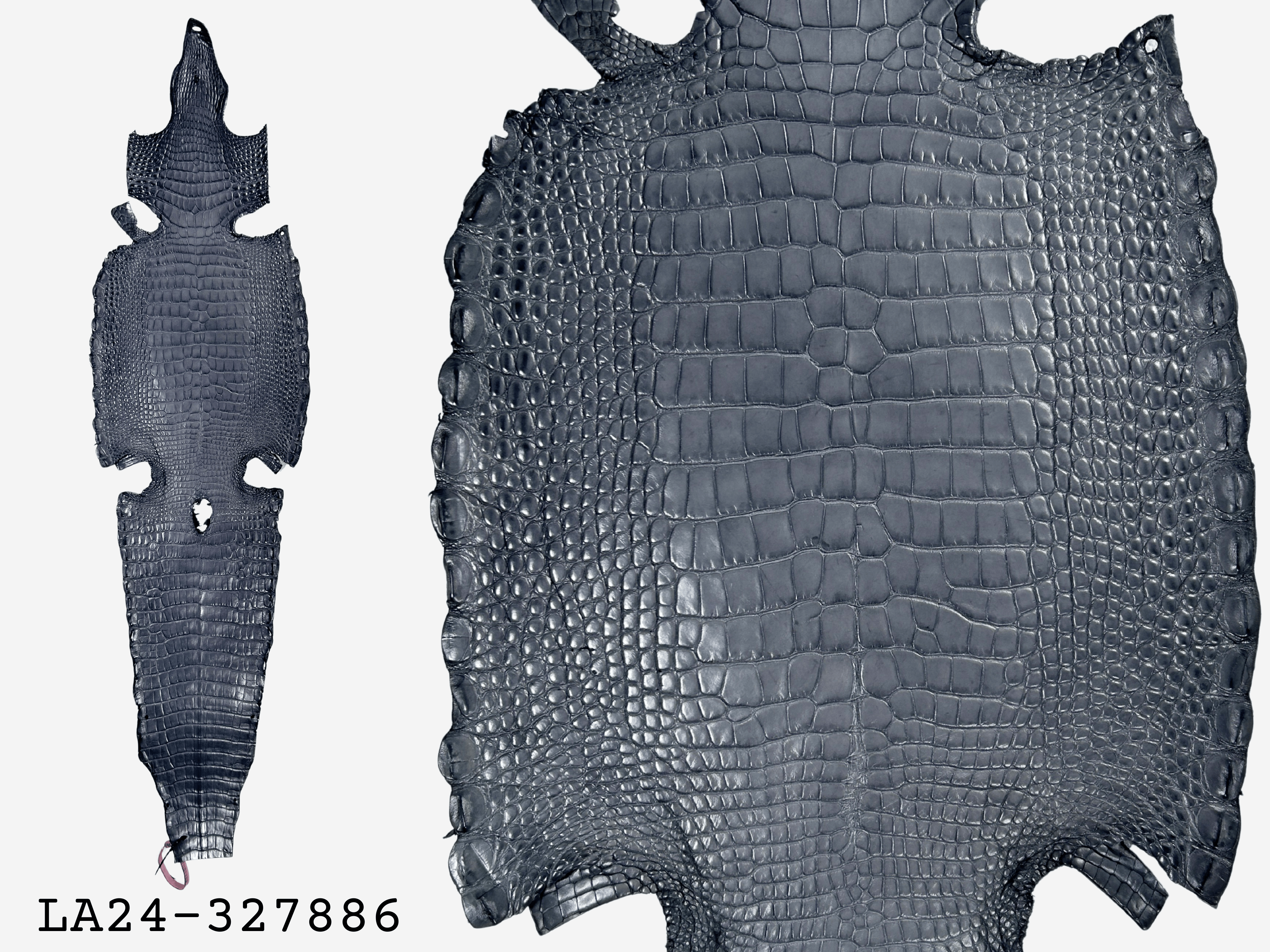 Alligator Leather Hide - Grey