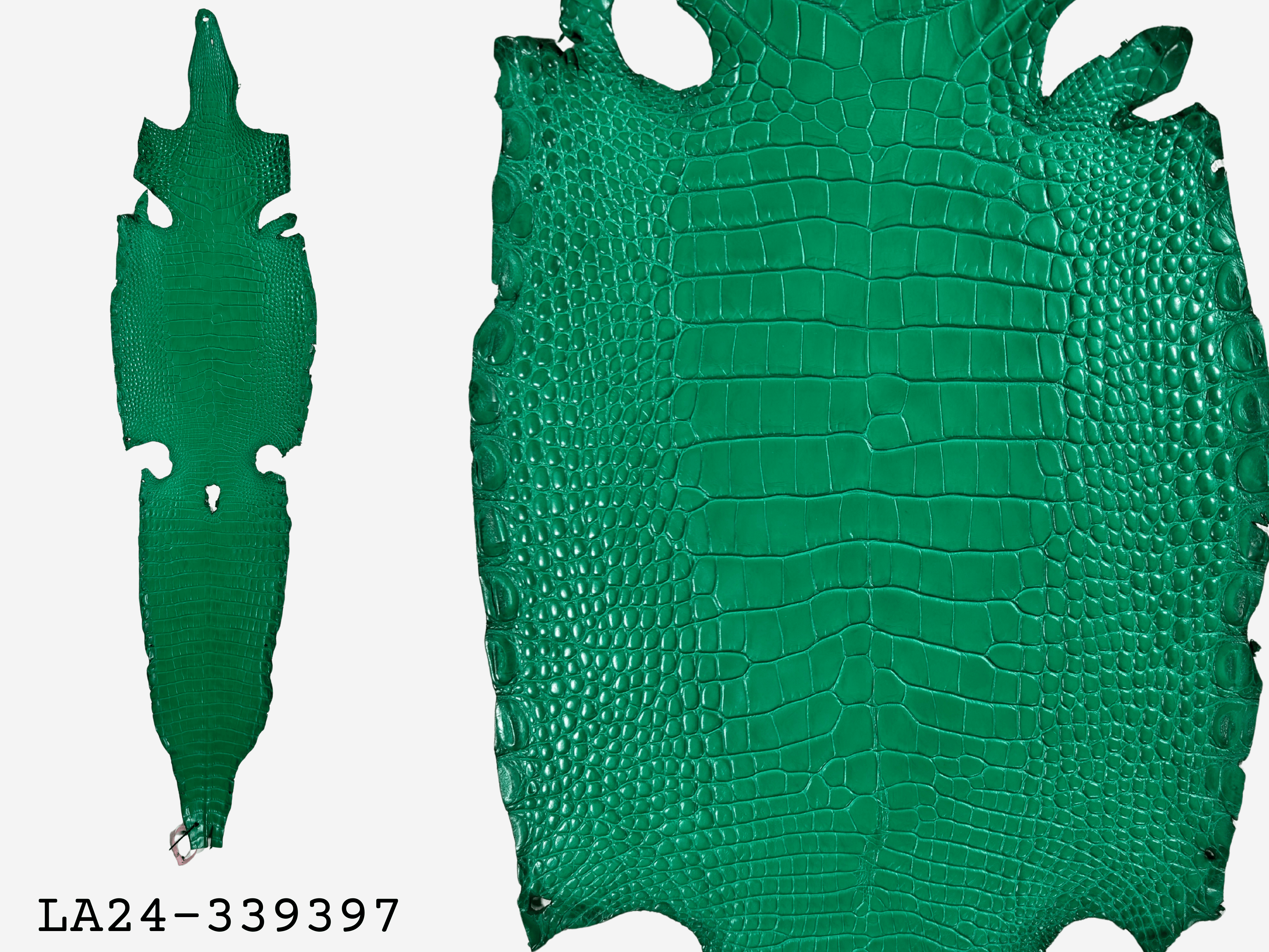 Alligator Leather Hide - Green