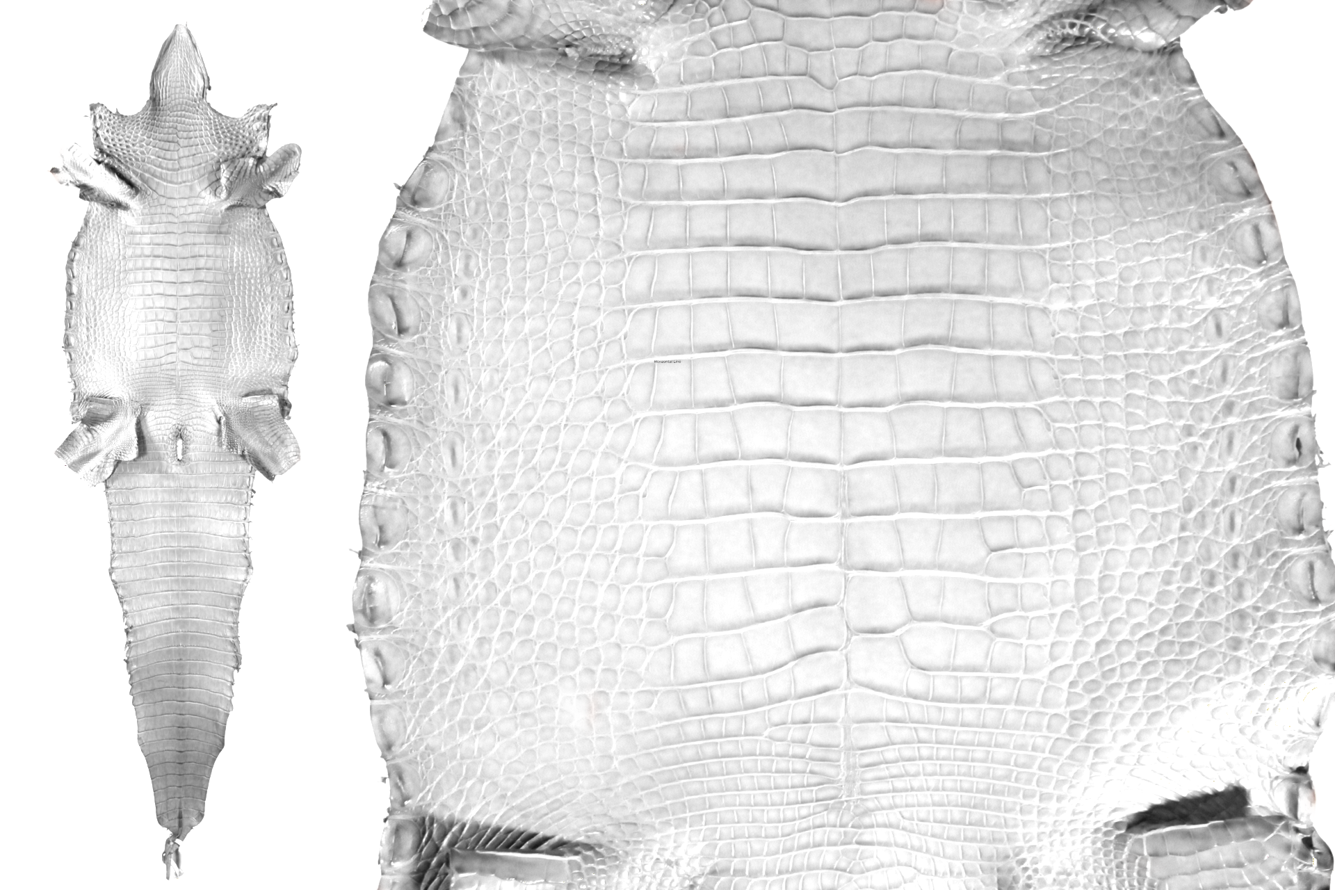 Alligator Crust Hide